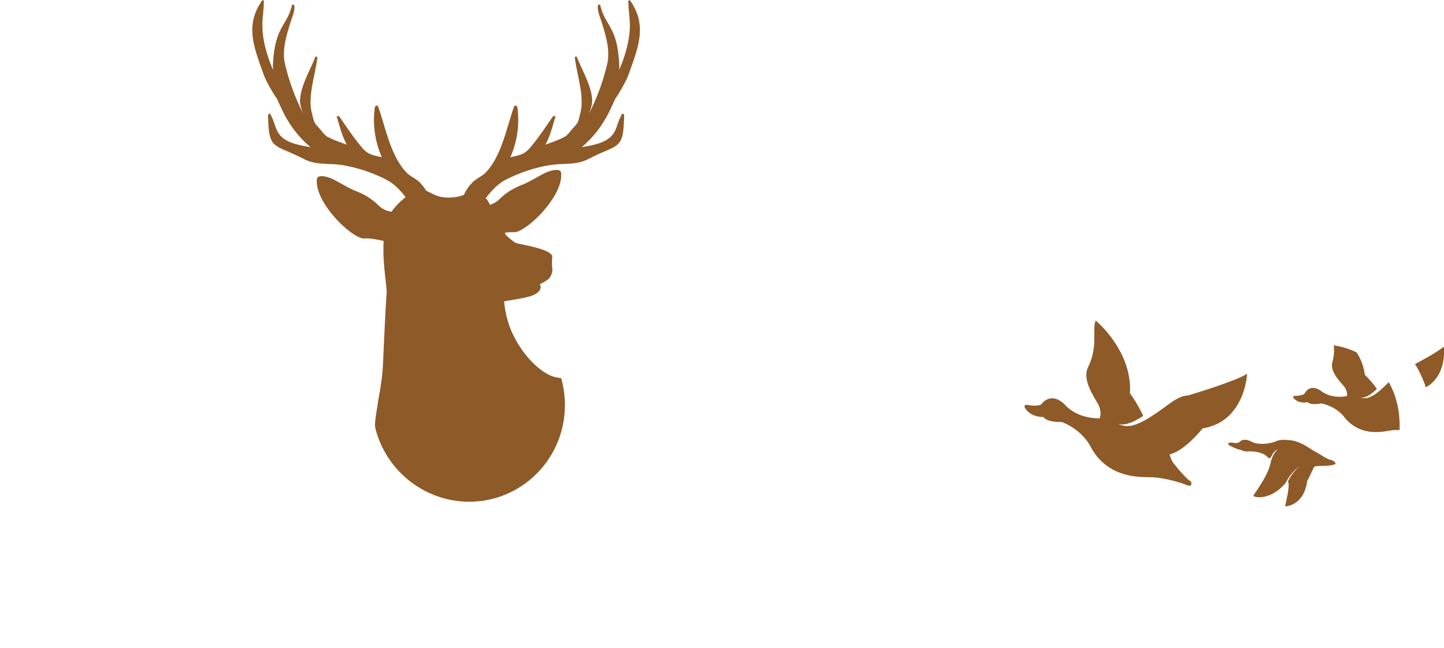 GoWild