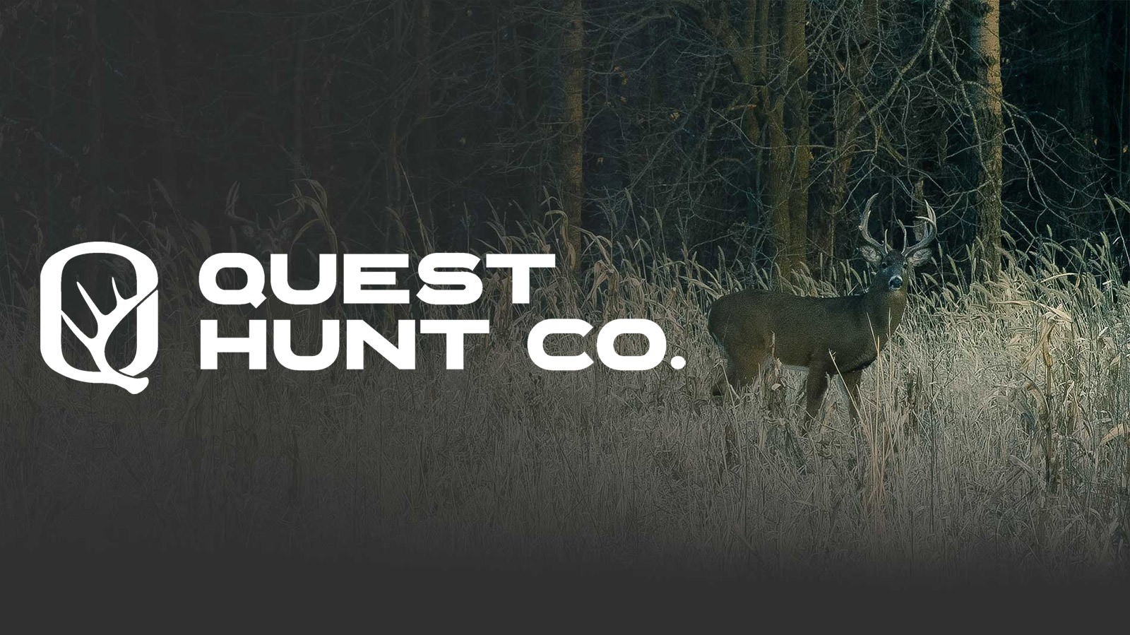 Sponsorship: Quest Hunt Co. Tournament