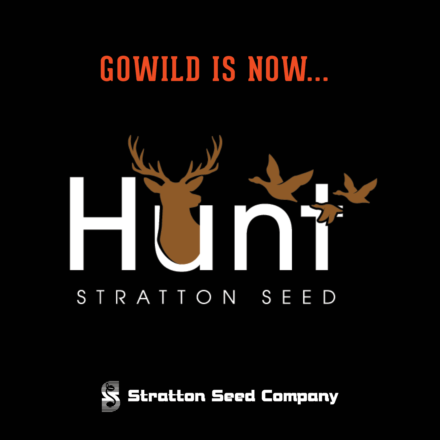 Introducing Hunt Stratton Seed
