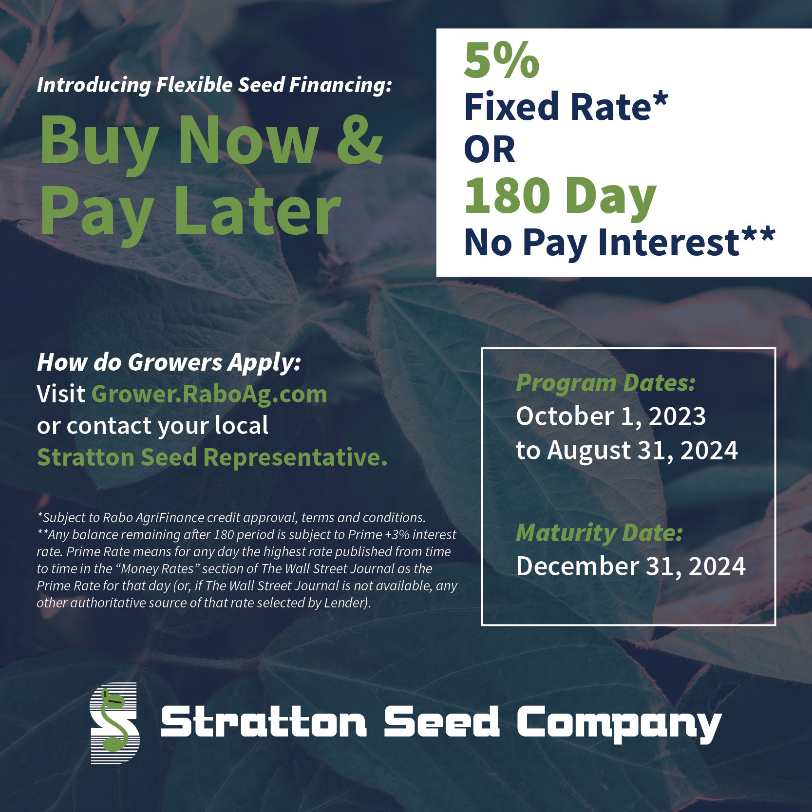 Buy Now & Pay Later – Flexible Seed Financing