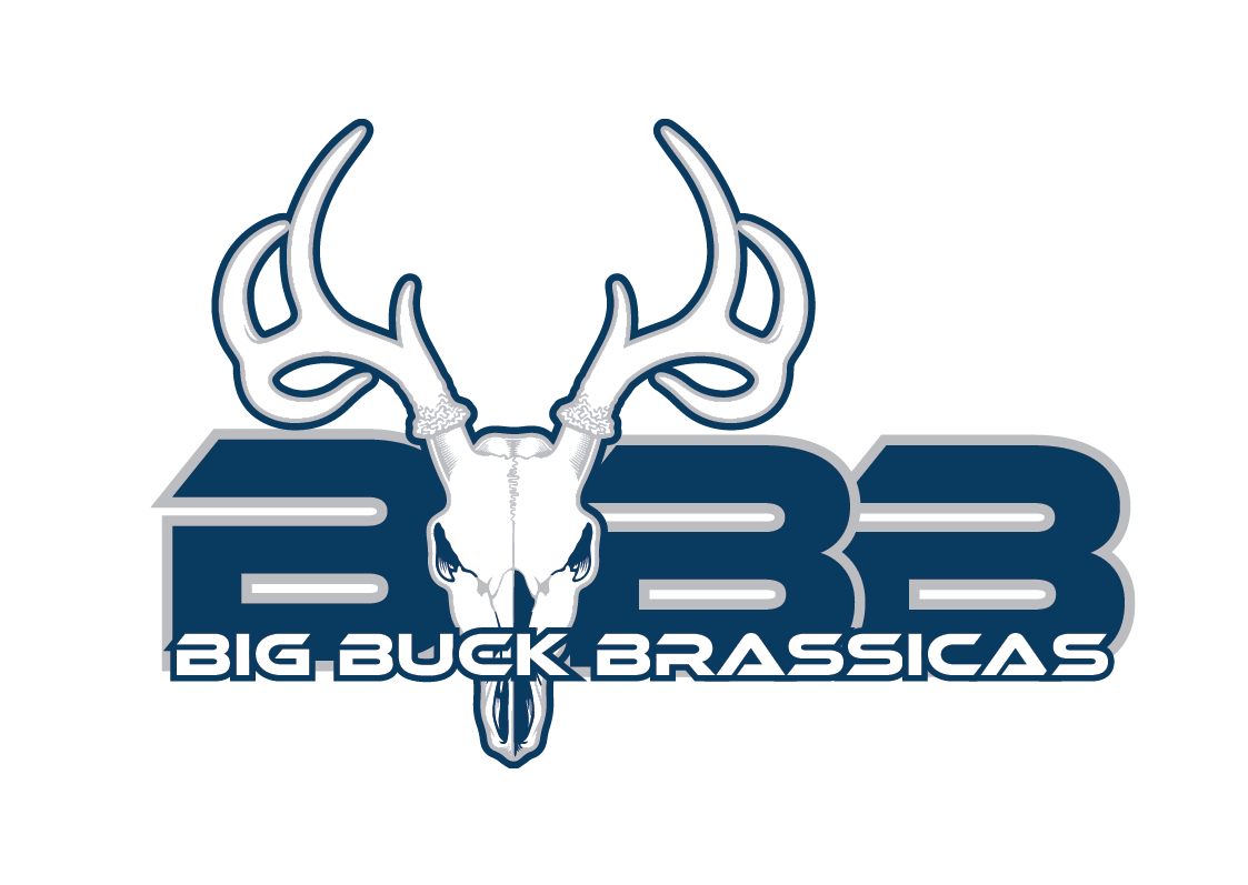 logo 5