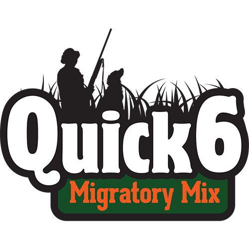 quick6-logo-small-web-10292.png