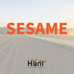 Sesame.jpg