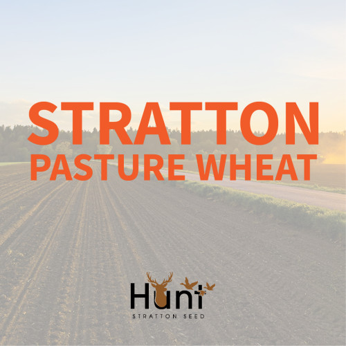 Stratton-Pasture-Wheat.jpg
