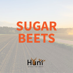 Sugar-Beets.jpg