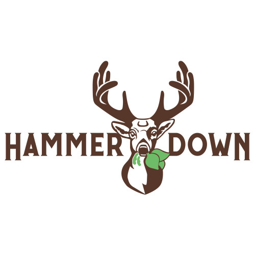 2025_HammerDown_Logo_Final300-ppi.png