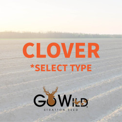 Clover