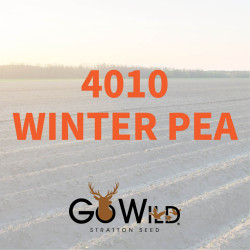 2025-StrattonSeed-Fall-Seed-WebsiteImage2.jpg