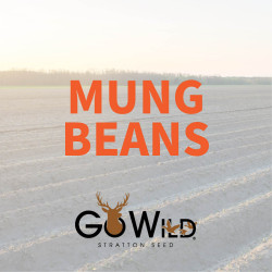 2025-StrattonSeed-Fall-Seed-WebsiteImage17.jpg