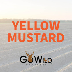 2025-StrattonSeed-Fall-Seed-WebsiteImage19.jpg
