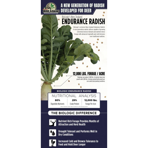 endurance-radish-website-graphic_1024x1024.jpg