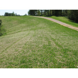 Clover_plus_1080x.jpg