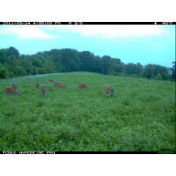 clover_plus_in_may_1080x.jpg