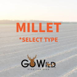 2025-StrattonSeed-Fall-Seed-WebsiteImage-millet.jpg