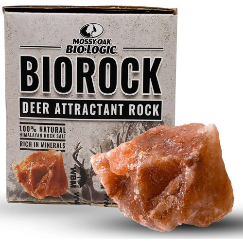 BioRock_960x.jpg