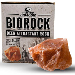 BioRock_960x.jpg
