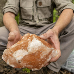biorock_429c020a-e23a-492f-89a0-9a8681ebbc09_960x.jpg