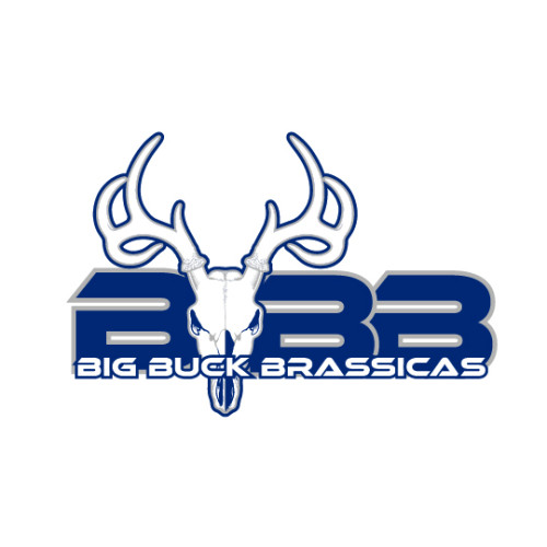 Triple-B-BigBuckBrassicas-Logo-(1).jpg